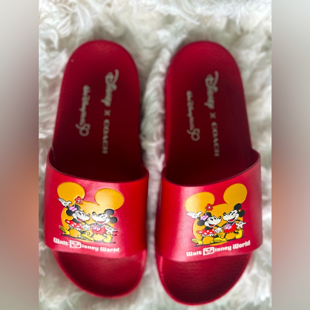 Disney x a Coach Disney World 50th Anniversary Slides